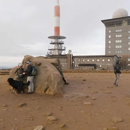 Martina Heydecke Comfortable *