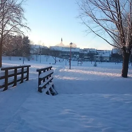 Martina Heydecke Comfortable