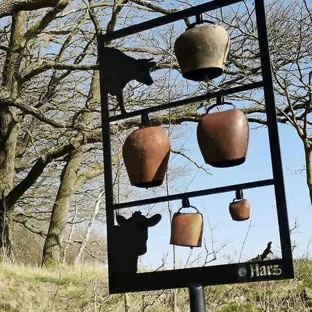 Martina Heydecke Comfortable