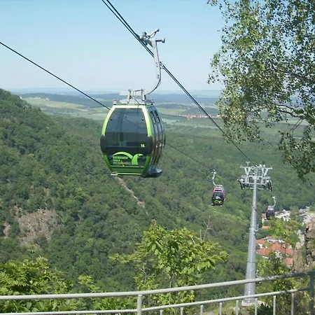 Martina Heydecke Comfortable