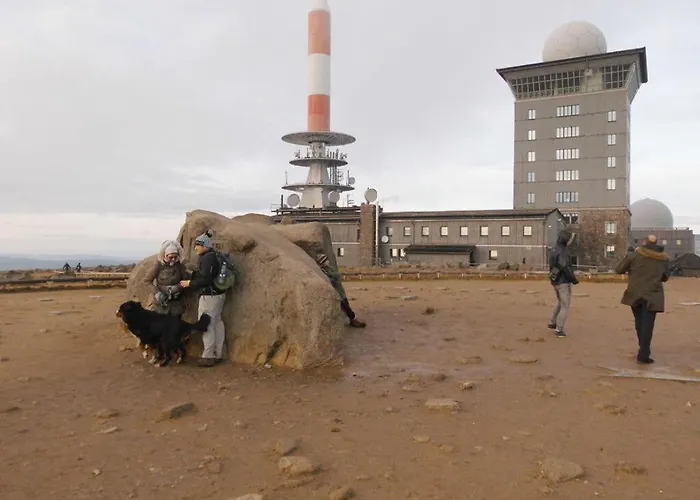 Martina Heydecke Comfortable *