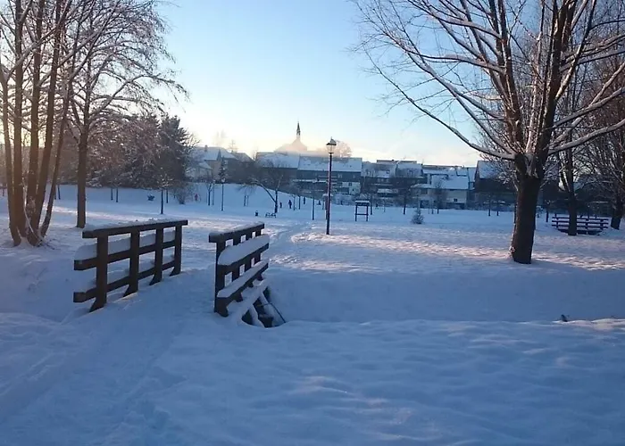 Martina Heydecke Comfortable