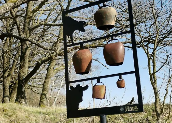 Martina Heydecke Comfortable