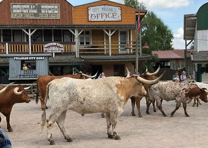 Martina Heydecke Comfortable Hasselfelde