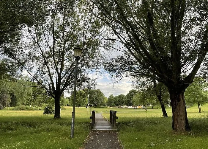 Martina Heydecke Comfortable * Hasselfelde